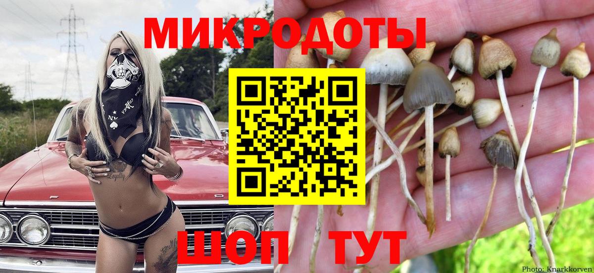 Псилоцибиновые грибы мухоморы  Вход с VPN  Псков 