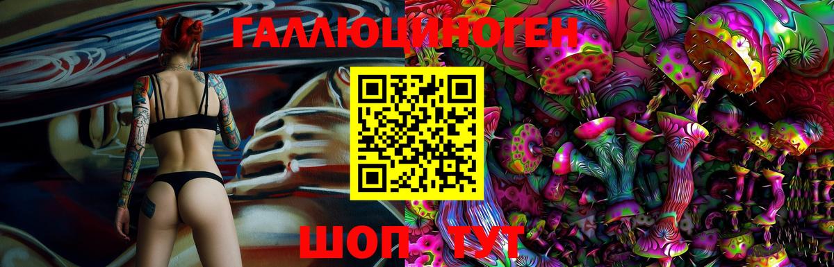 Галлюциногенные грибы Psilocybe Псков